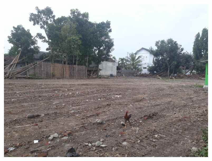 dijual tanah kavling 4 menit bandara yia kulon progo