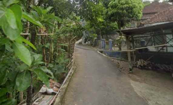 dijual tanah kebun jati di kuningan jawa barat