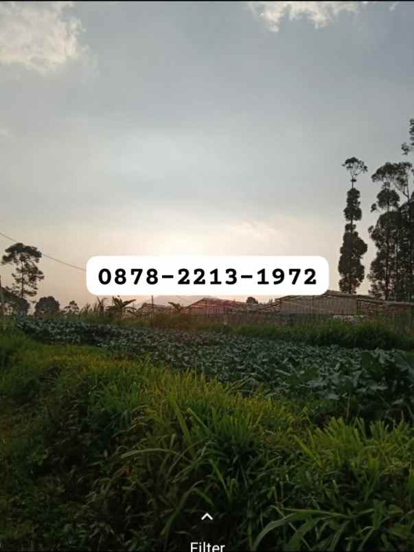 dijual tanah lembang bandung barat