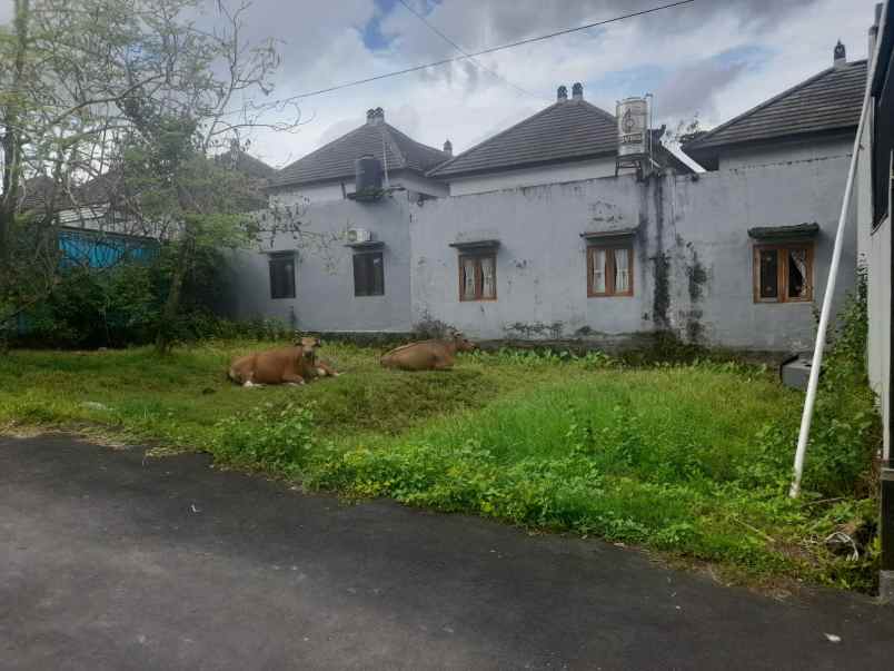 dijual tanah lokasi gang ilalang sempidi badung