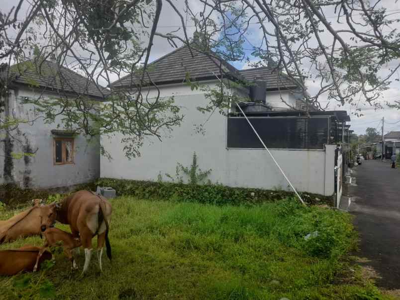 dijual tanah lokasi gang ilalang sempidi badung