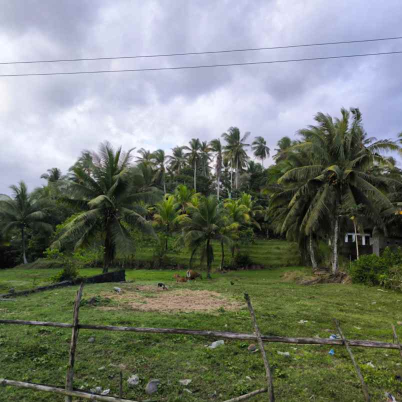 dijual tanah pekutatan antosari selabih