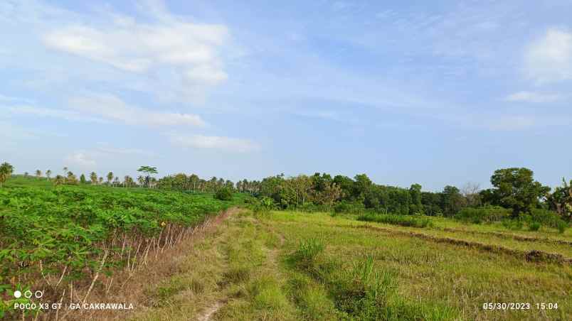 dijual tanah ruling raya natar