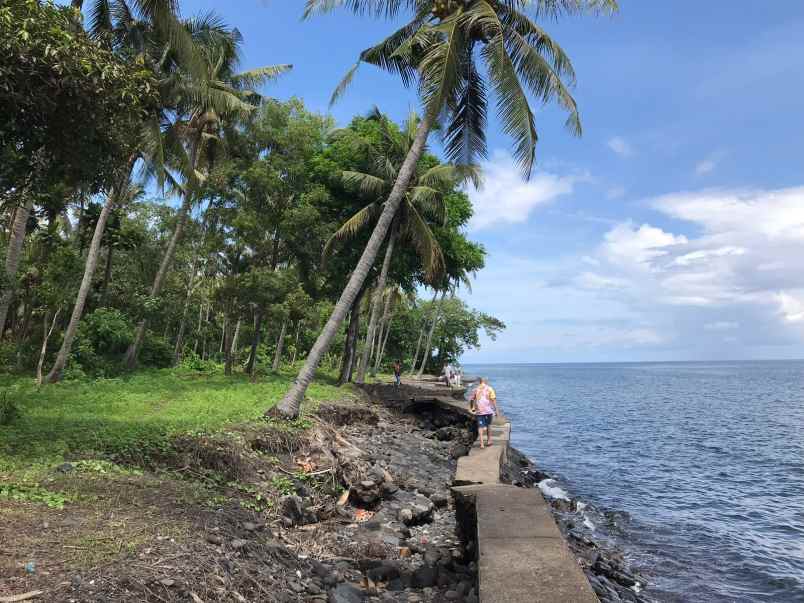 dijual tanah sambirenteng tejakula