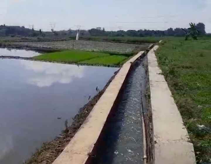 dijual tanah sawah produktif di randibawa kuningan