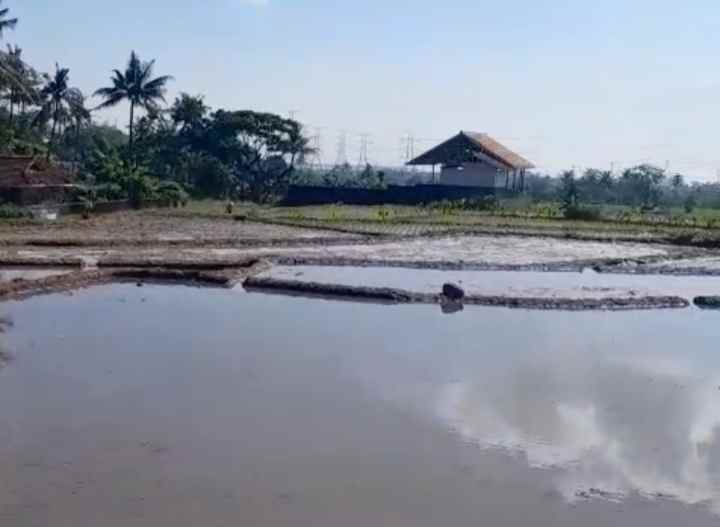 dijual tanah sawah produktif di randibawa kuningan