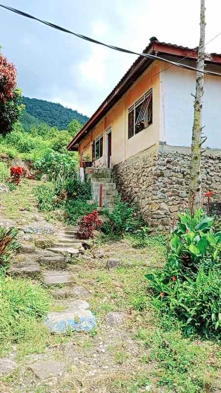 dijual tanah silahi sabungan silalahi 1