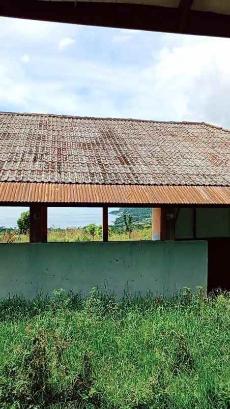 dijual tanah silahi sabungan silalahi 1