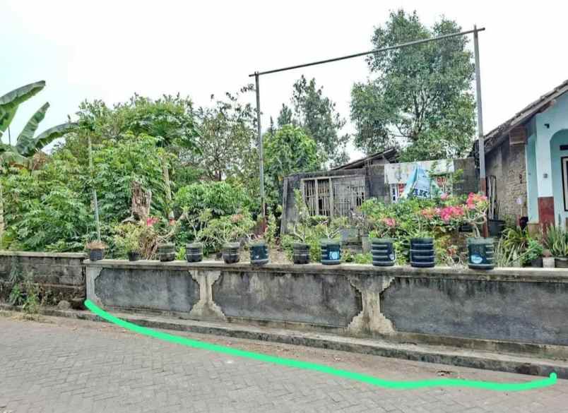 dijual tanah sleman