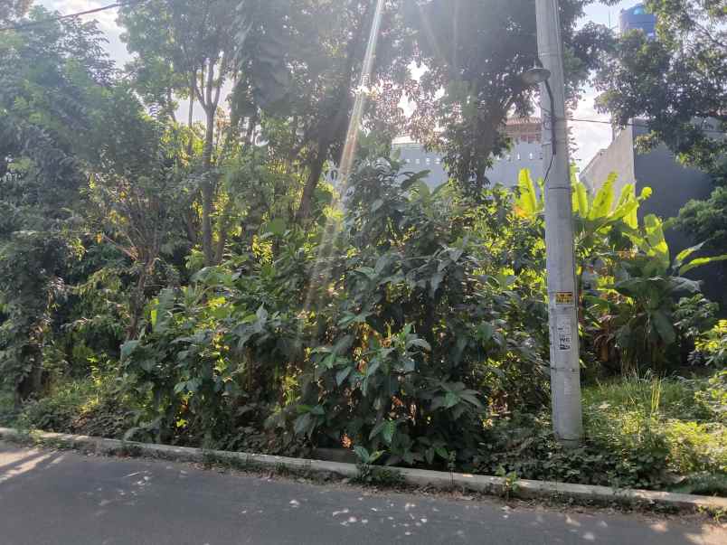 dijual tanah strategis ring 1 undip tembalang semarang