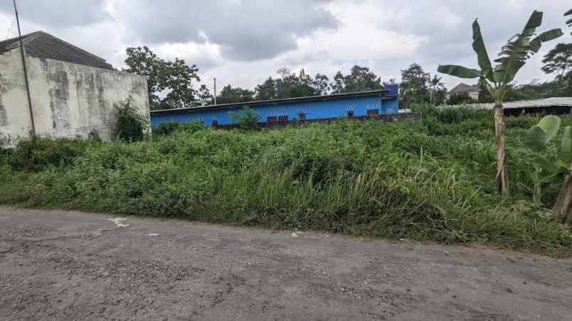 dijual tanah tajem baru maguwoharjo