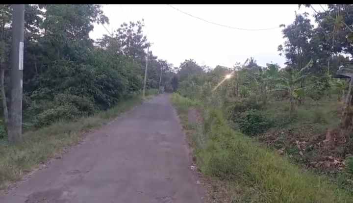 dijual tanah tenjo layar