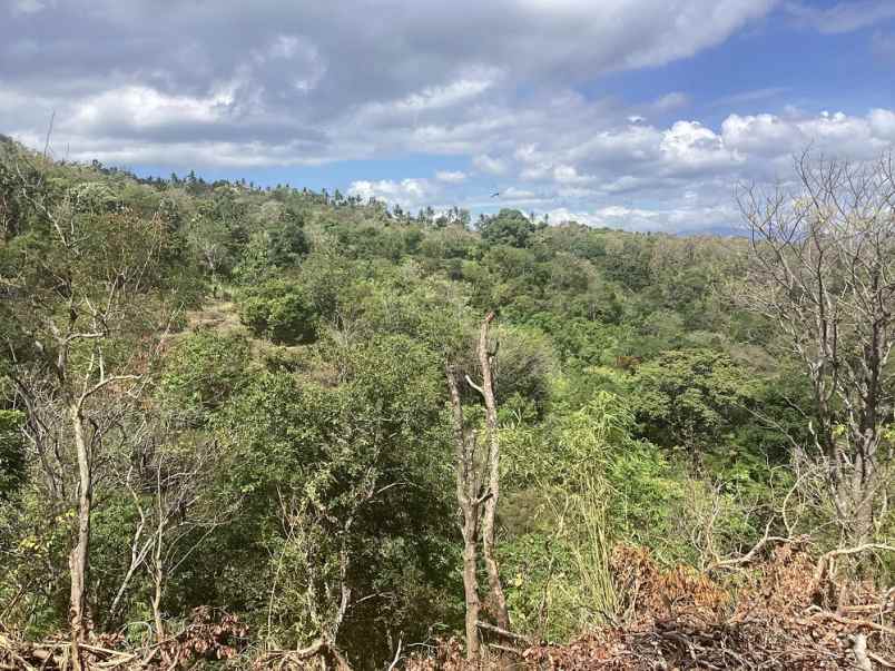 dijual tanah tigawasa village banjar