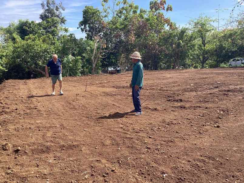 dijual tanah tigawasa village banjar