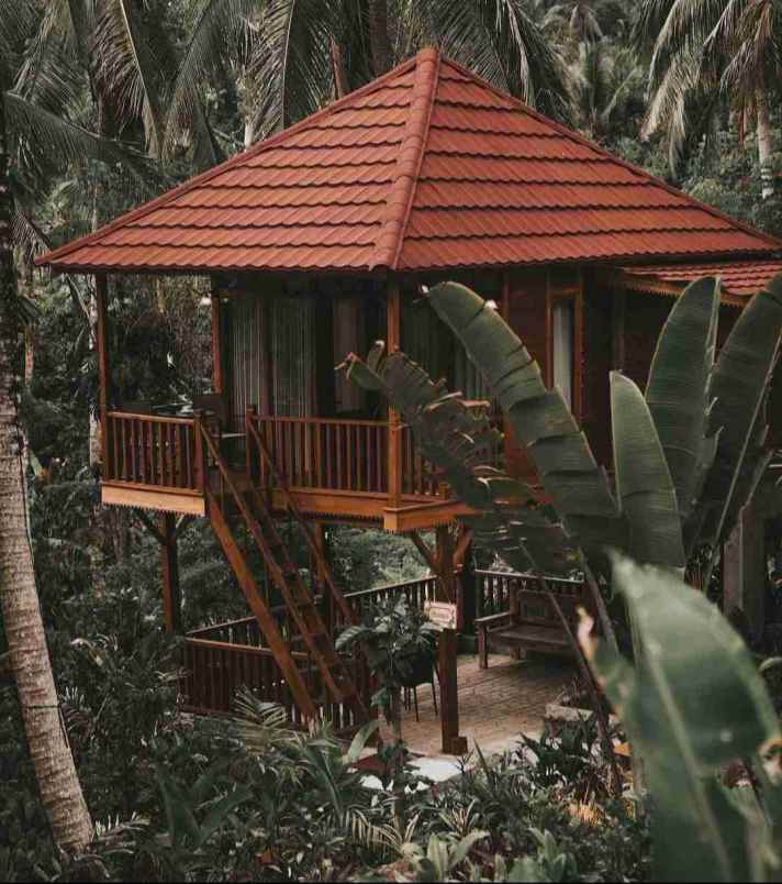 eco resort view sungai dan jungle di bali
