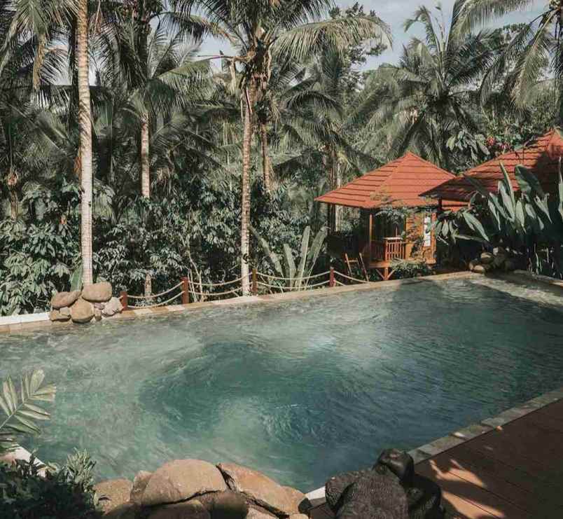 eco resort view sungai dan jungle di bali