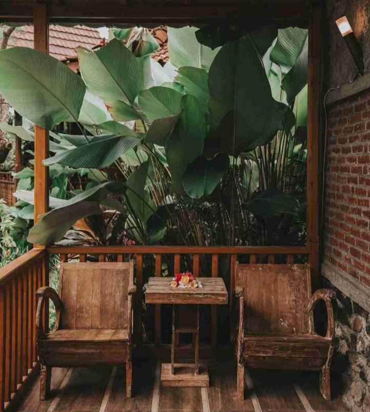 eco resort view sungai dan jungle di bali