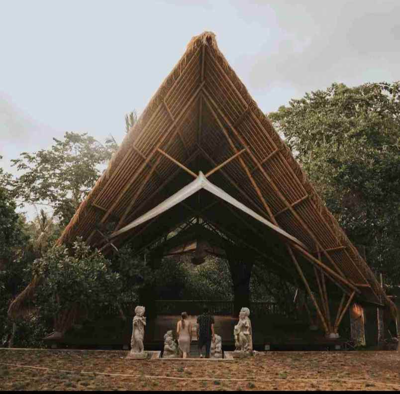 eco resort view sungai dan jungle di bali