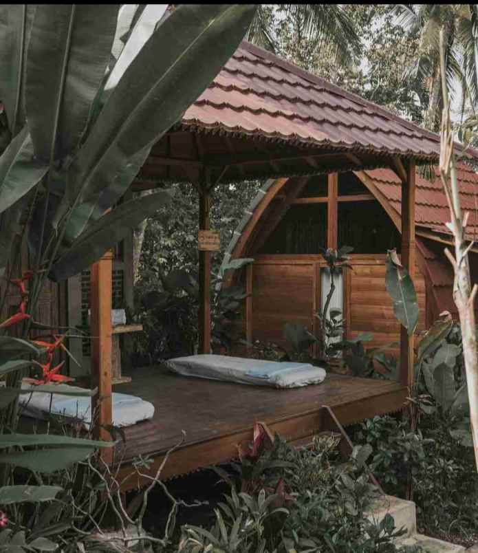 eco resort view sungai dan jungle di bali