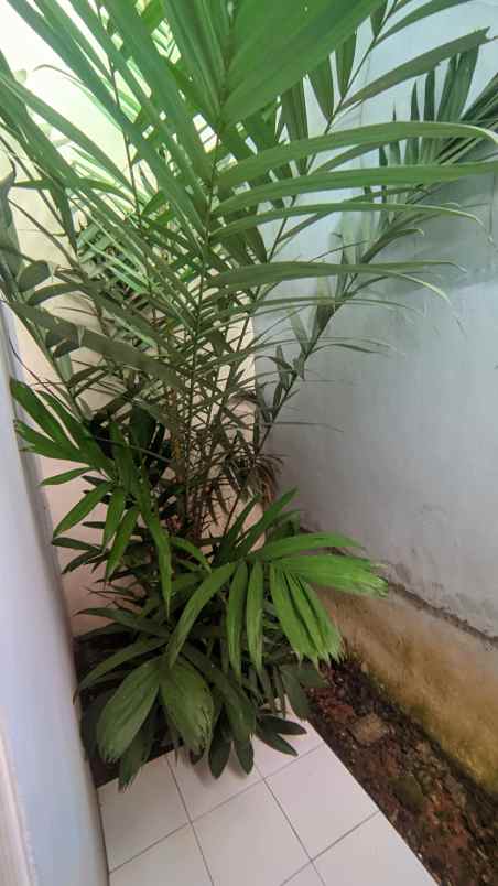 grand harmoni 5 tenjo subsidi