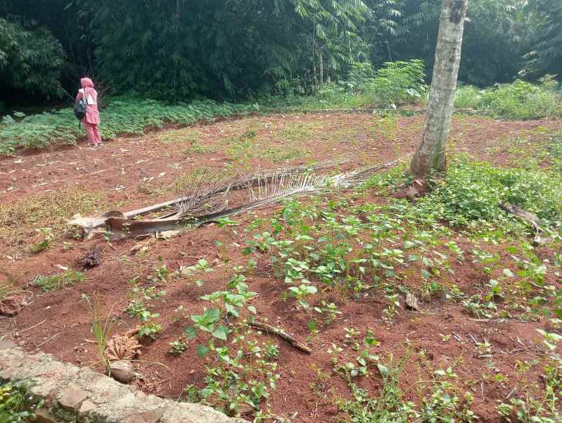 jual tanah curug serang banten