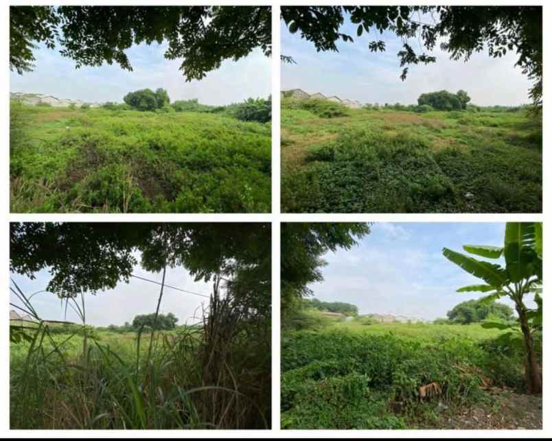 lahan lingkar timur sidoarjo