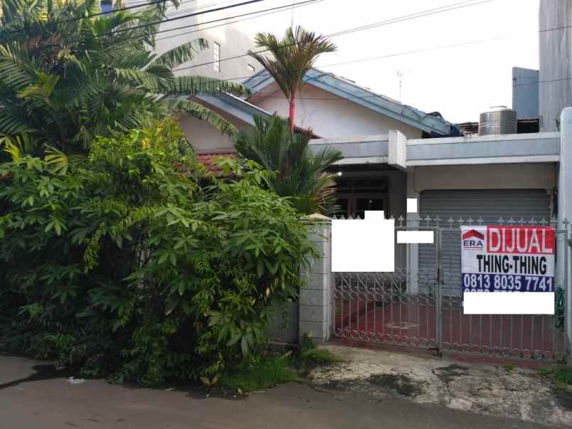 rumah kelapa nias kelapa gading