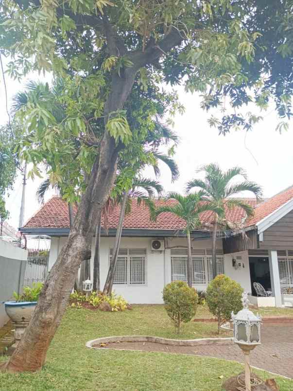 rumah lama layak huni dicipinang besar jakarta timur