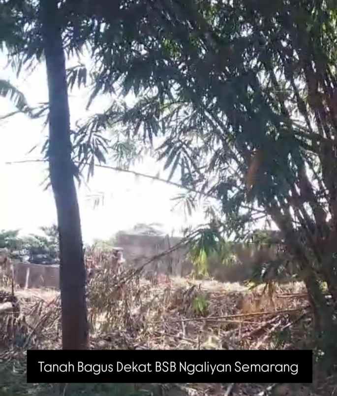 tanah bagus ngaliyan semarang
