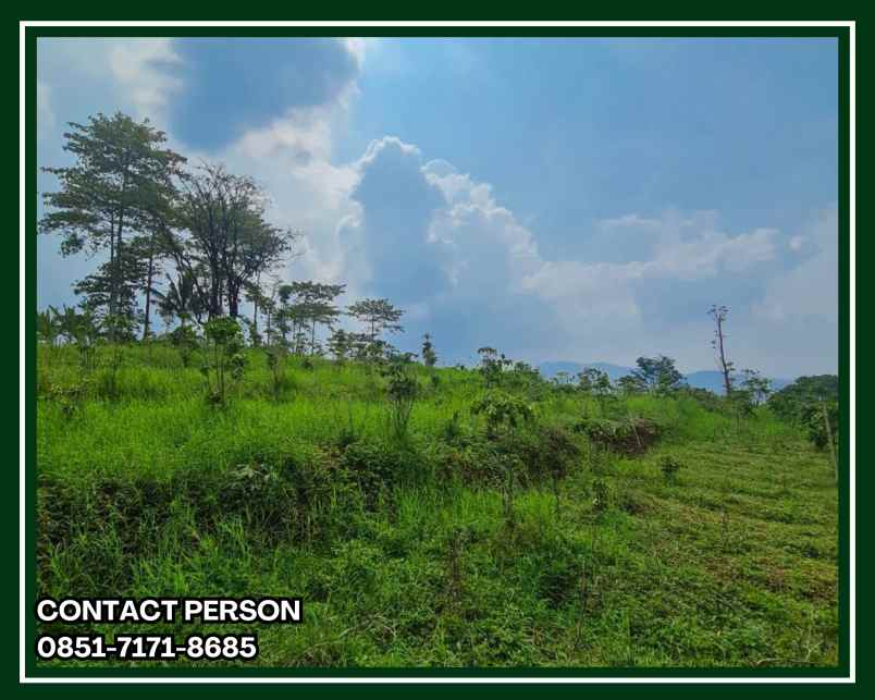 tanah bandung murah pangalengan view indah