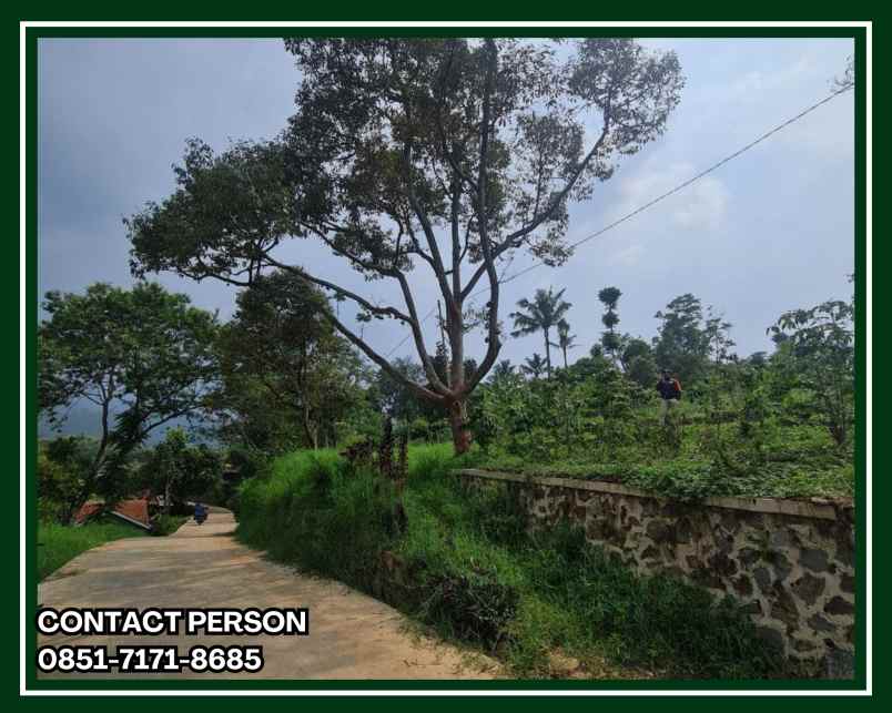 tanah bandung murah pangalengan view indah