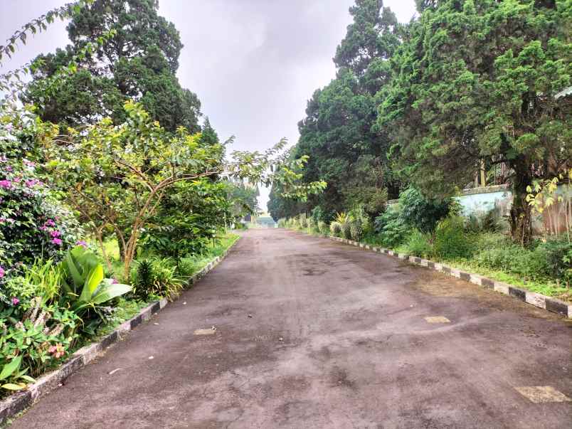 tanah cocok untuk villa dan perumahan di gadog pacet