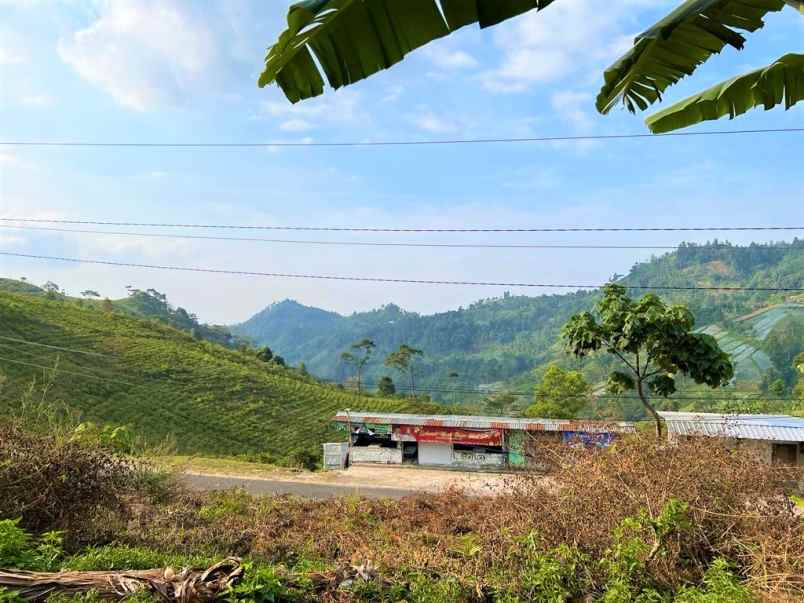 tanah dekat jembatan kaca kemuning karanganyar