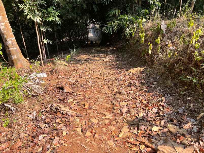 tanah dekat makutoromo karangpandan karanganyar