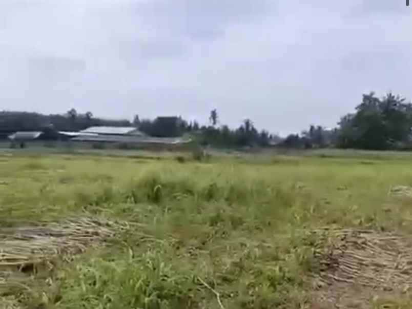 tanah di dekat itera jati agung luas 4400m