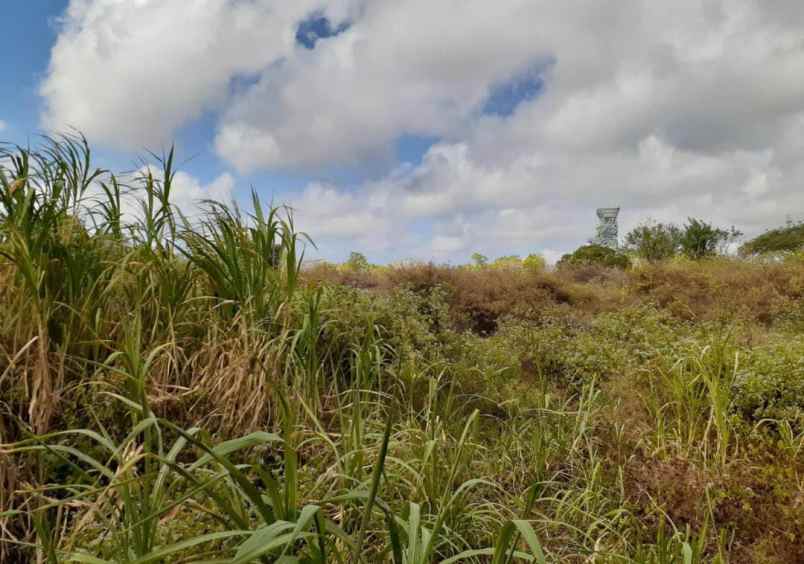 tanah dl ungasan kuta selatan badung bali