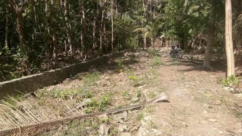 tanah kapling murah di kulon progo