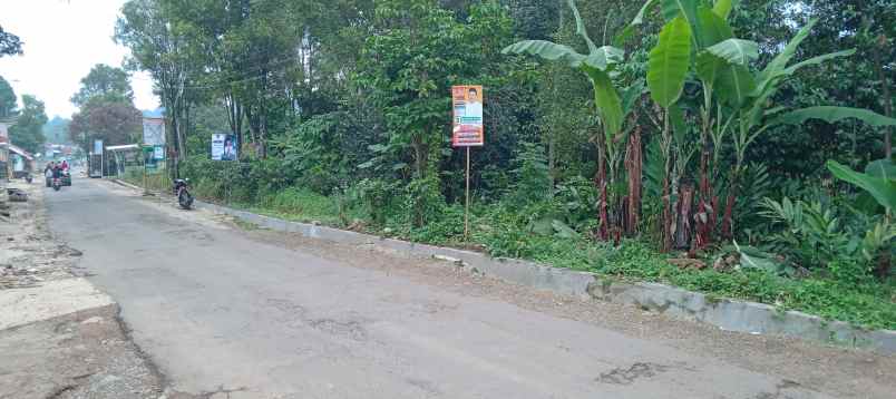 tanah kebun cengkeh dan manggis