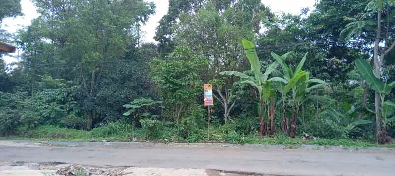 tanah kebun cengkeh dan manggis