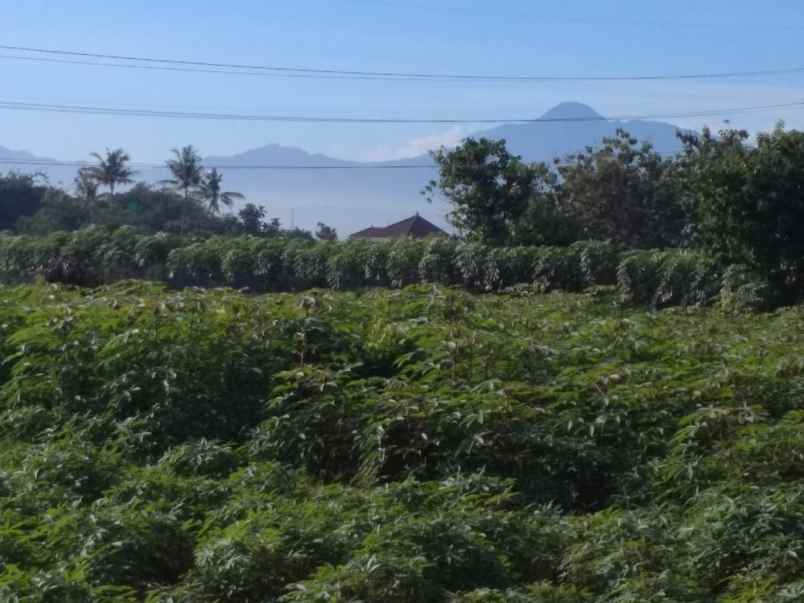 tanah kencana bogor