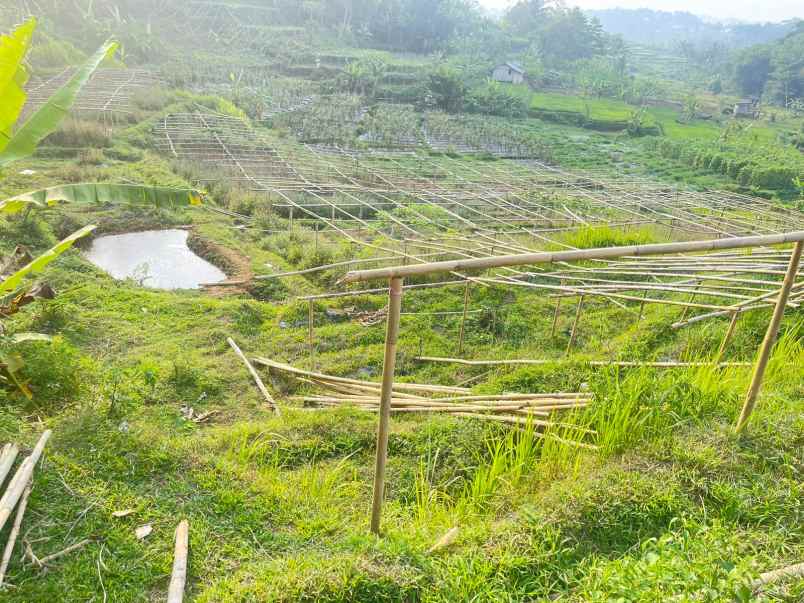 tanah ladang ada sumber air pinggir jalan