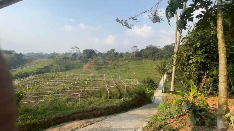 tanah ladang ada sumber air pinggir jalan