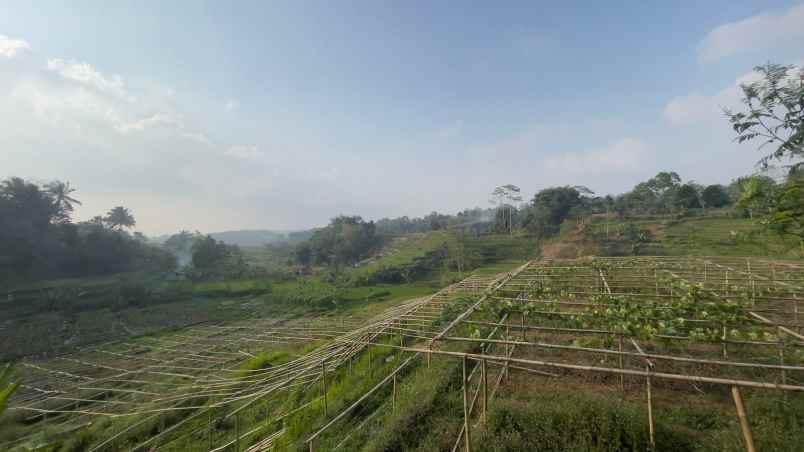 tanah ladang ada sumber air pinggir jalan