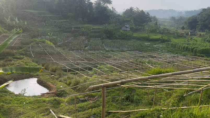 tanah ladang ada sumber air pinggir jalan