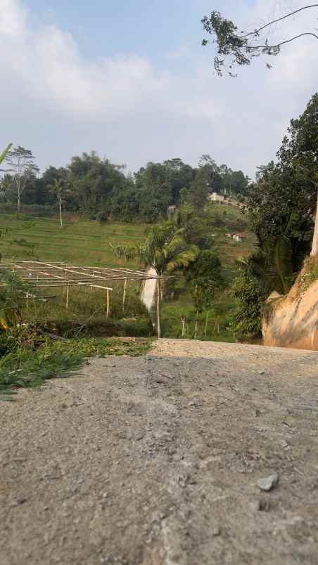 tanah ladang ada sumber air pinggir jalan