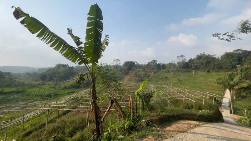 tanah ladang ada sumber air pinggir jalan