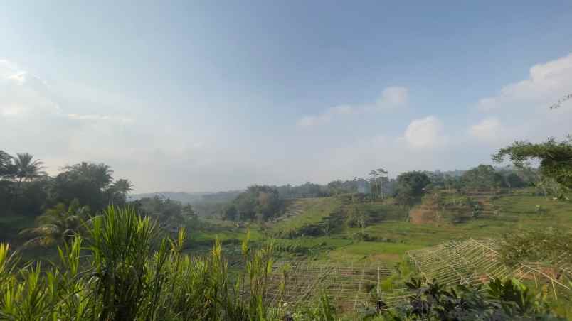 tanah ladang ada sumber air pinggir jalan