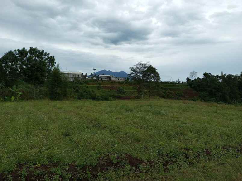 tanah megamendung cisarua puncak