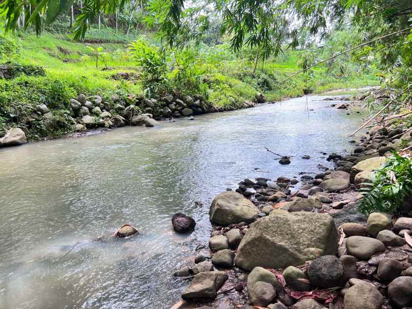 tanah murah 3265m hanya 225 juta karanganyar