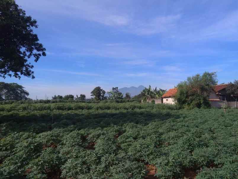 tanah murah zona kuning tanah sareal kota bogor